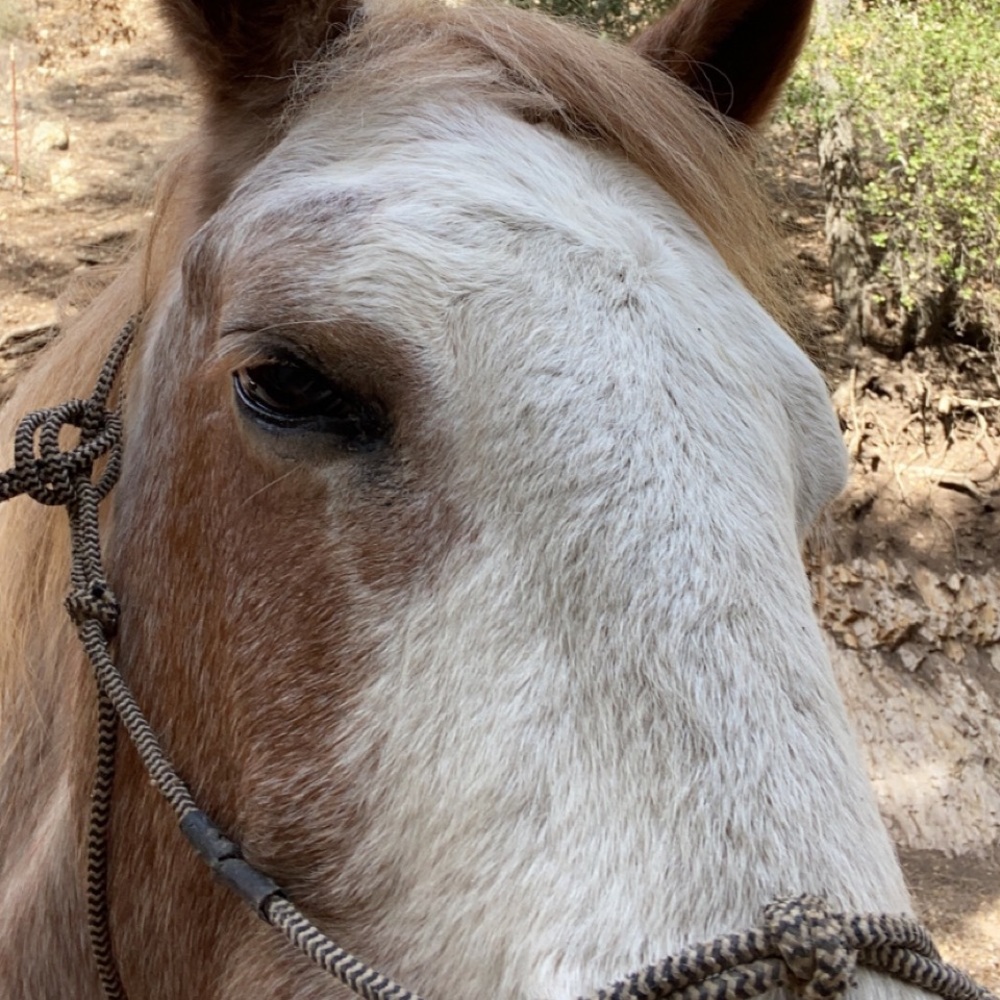 Meet your Posher, Jaklynn